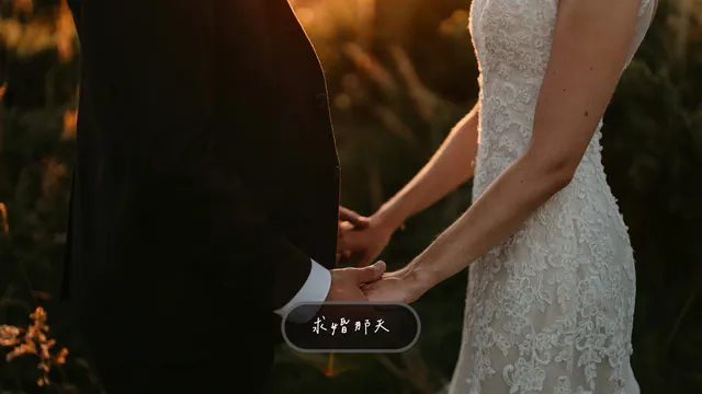 「從相遇到求婚」的一格（電影感）